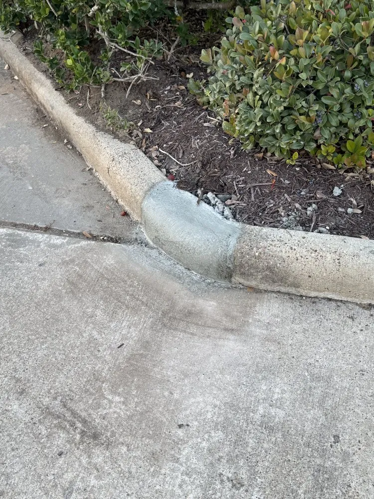 Trusted yard cleanup service in Pearland, TX - DIAC