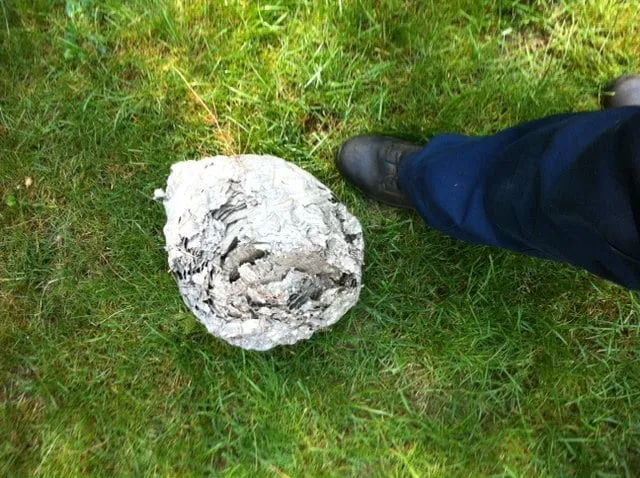 Trusted outdoor landscaping in East Hanover, NJ - Dial Environmental