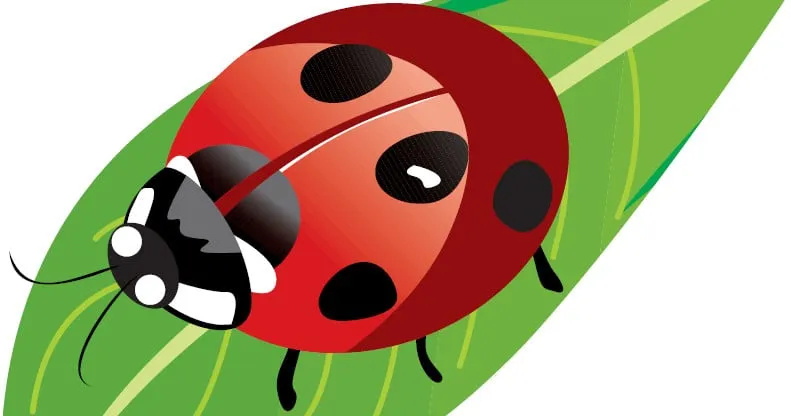 Professional lawn care service in East Hanover, NJ - Dial Environmental