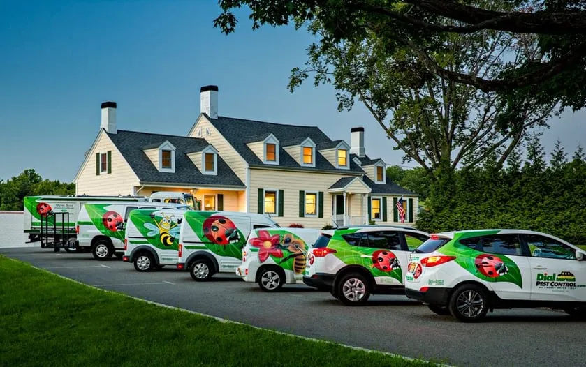 Expert landscape design near you in East Hanover, NJ by Dial Environmental