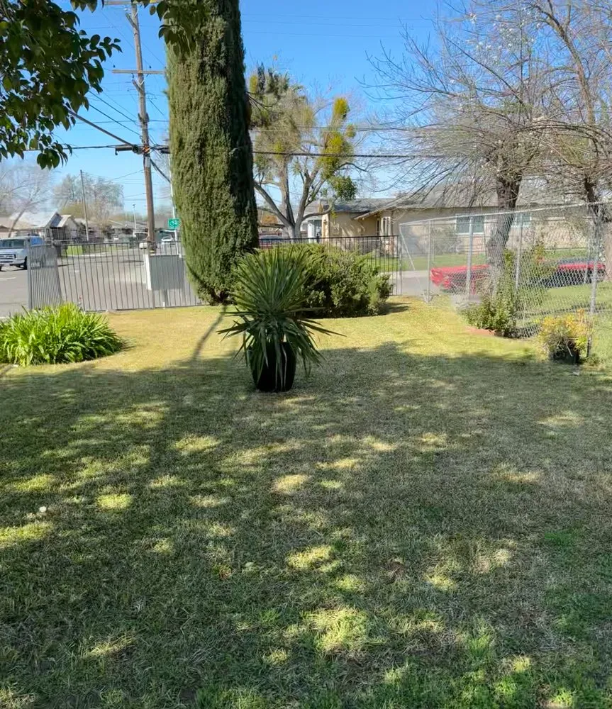 Trusted residential landscaping experts serving North Highlands, CA - DialD’N Lawn Care