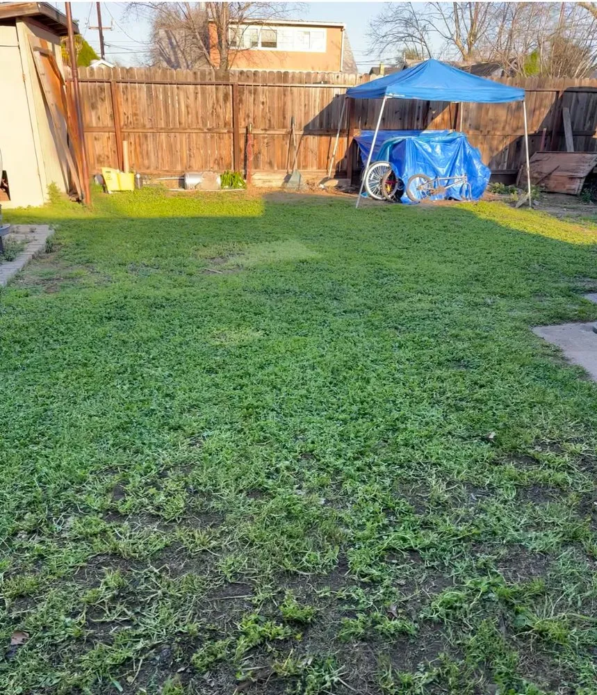 Affordable landscape design for beautiful yards across North Highlands, CA - DialD’N Lawn Care