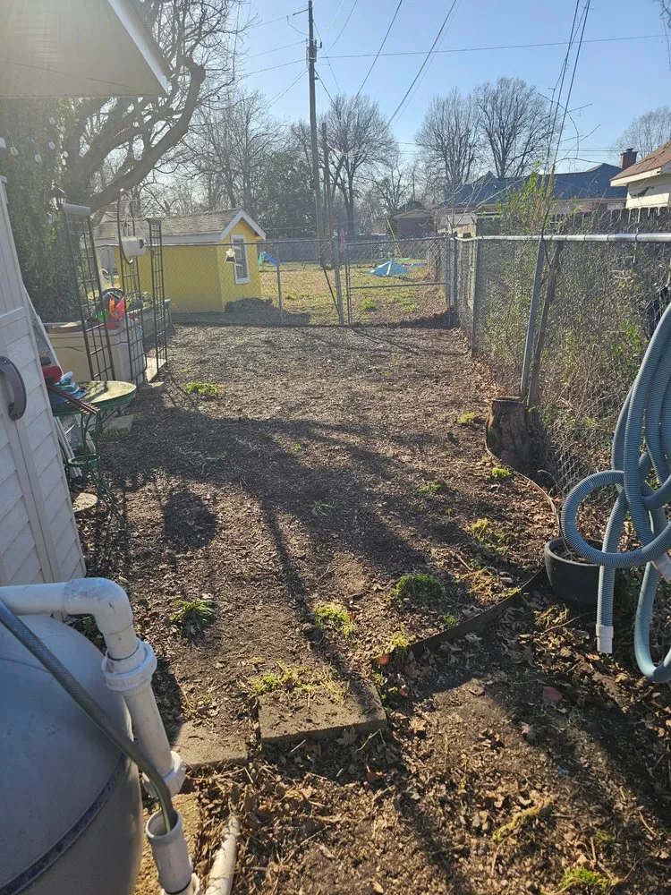 Trusted lawn care service for beautiful yards across Ridgely, TN - Dialed In Services