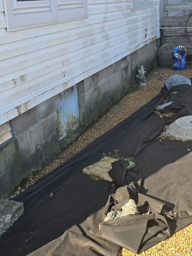 Local yard maintenance in Ridgely, TN - Dialed In Services