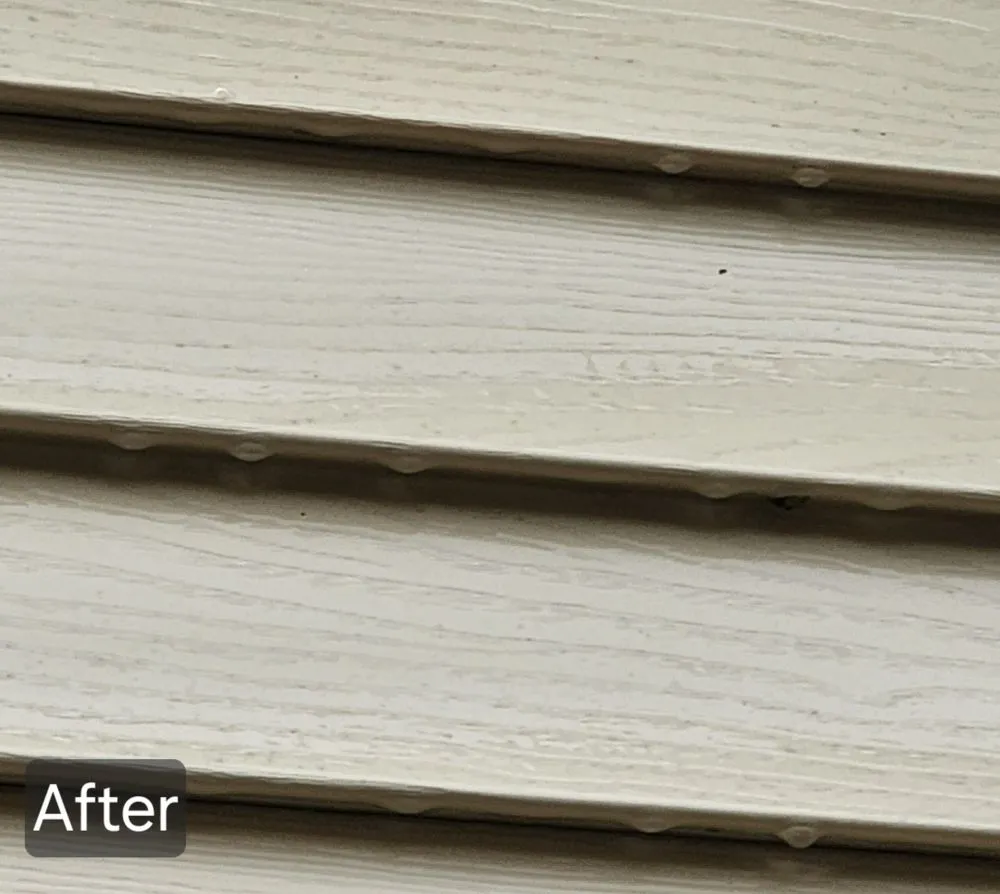 Trusted lawn mowing service near you across Ridgely, TN - Dialed In Services