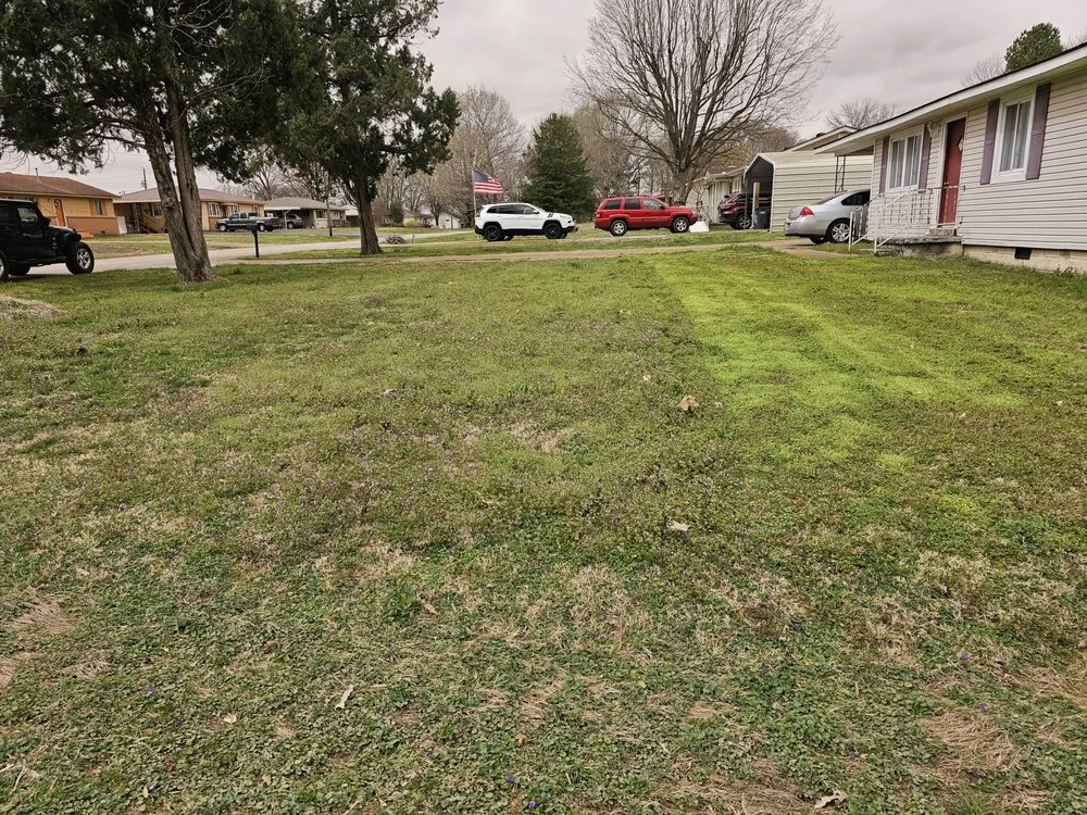 Local lawn care service for residential properties in Ridgely, TN by Dialed In Services