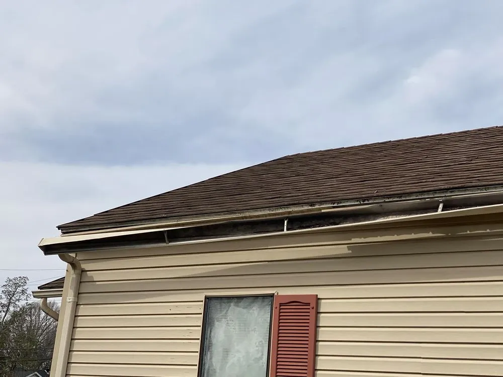 Top-rated residential landscaping experts serving Ridgely, TN - Dialed In Services