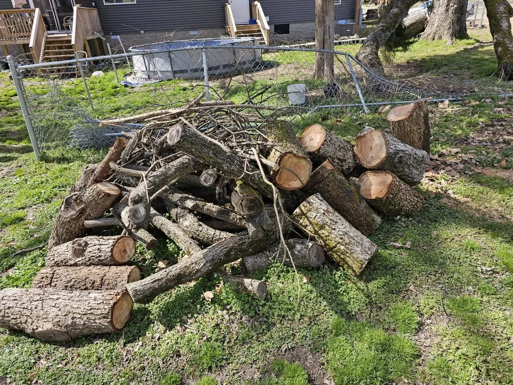 Reliable landscaping services in Ridgely, TN - Dialed In Services