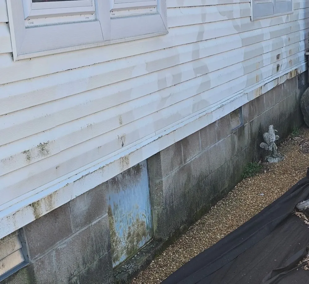 Reliable yard cleanup service in Ridgely, TN by Dialed In Services