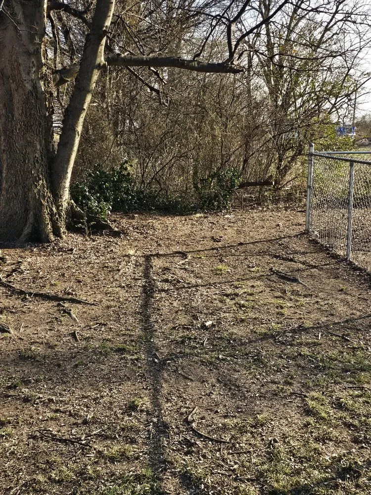 Affordable landscape design for beautiful yards in Ridgely, TN by Dialed In Services