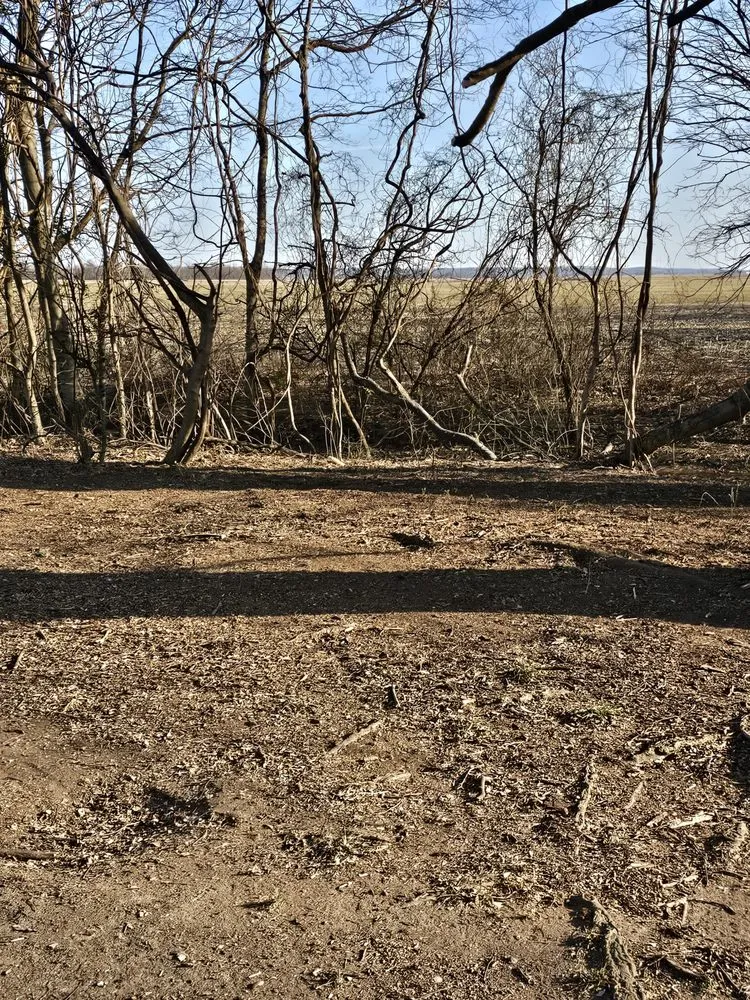 Professional lawn care service in Ridgely, TN by Dialed In Services