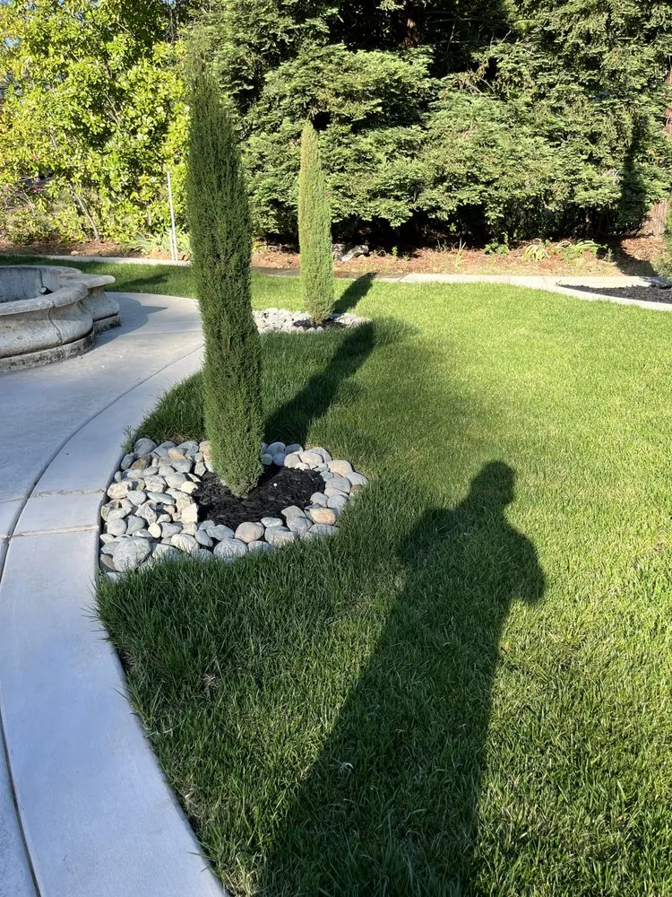 Reliable residential landscaping in Diamond Springs, CA - Diamante Lanscape Services