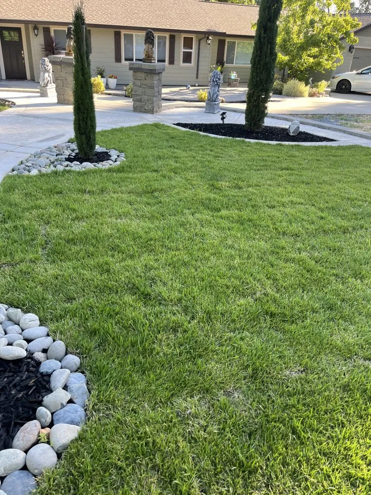Affordable lawn care service experts serving Diamond Springs, CA - Diamante Lanscape Services