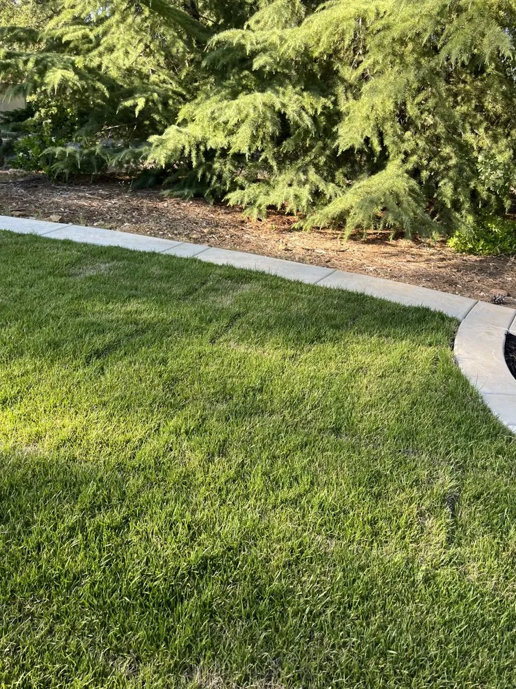 Trusted landscaping services in Diamond Springs, CA by Diamante Lanscape Services