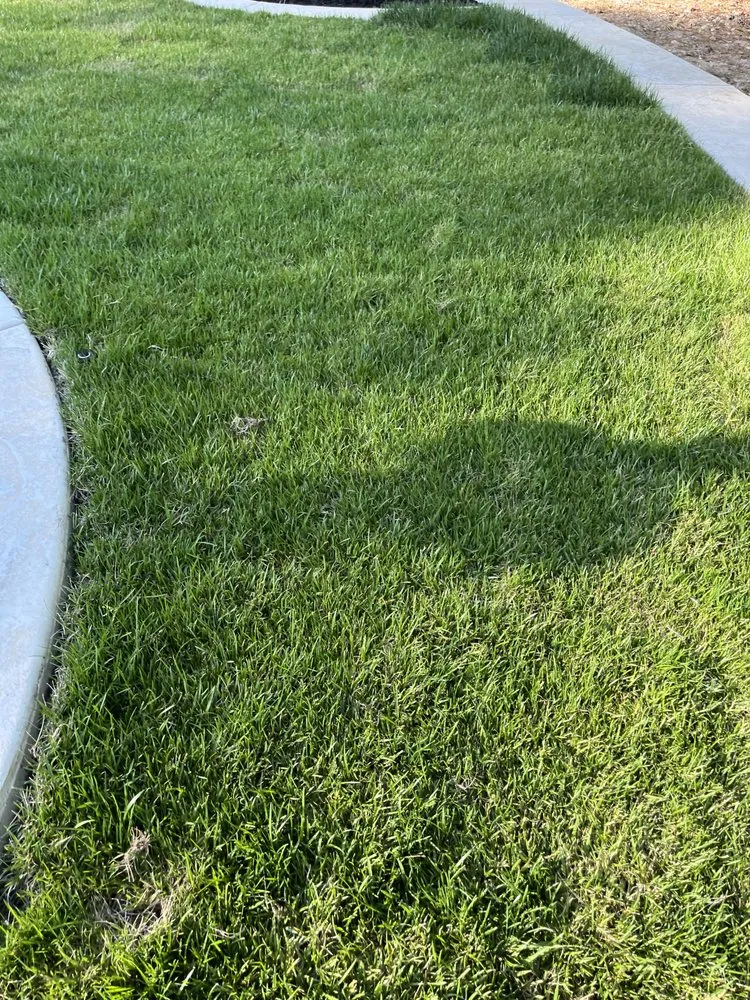 Local lawn mowing service in Diamond Springs, CA by Diamante Lanscape Services