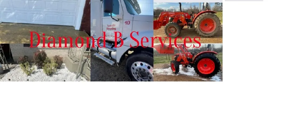 Local yard cleanup service in Union City, TN by Diamond B Services
