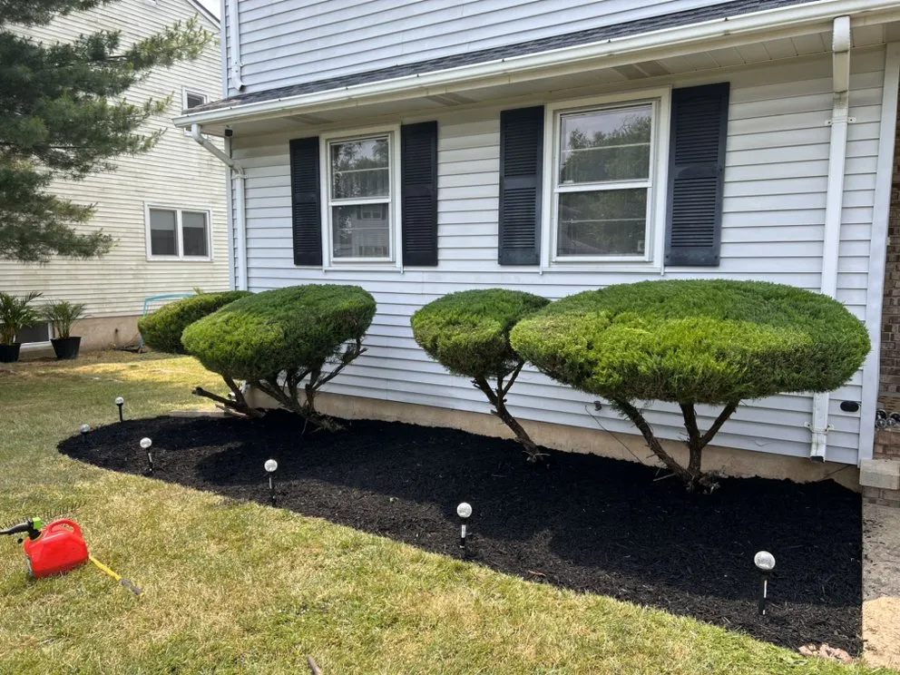 Top-rated landscape installation near you across Edison, NJ - Diamond Care Landscapes