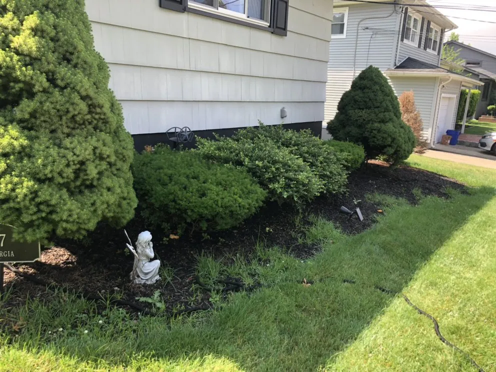 Local yard cleanup service in Edison, NJ by Diamond Care Landscapes