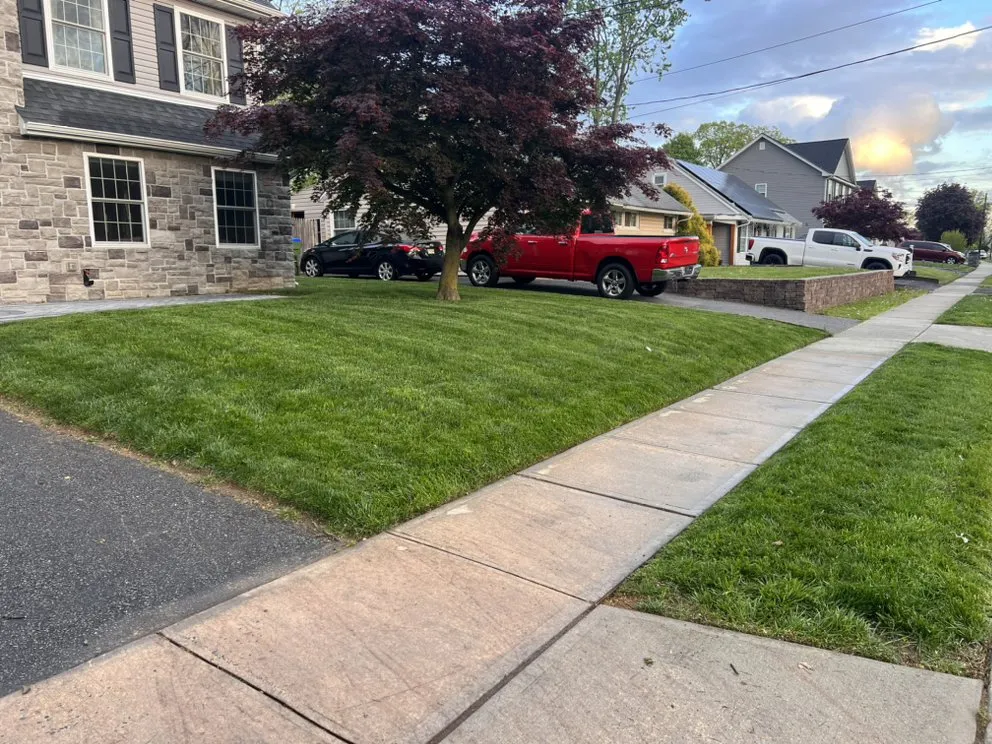 Trusted lawn care service near you in Edison, NJ by Diamond Care Landscapes
