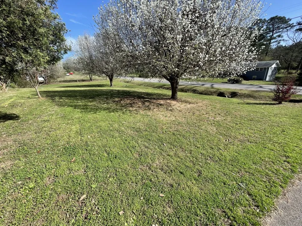 Trusted landscape installation for beautiful yards across Newnan, GA - Diamond Concrete Landscaping And Junk Removal