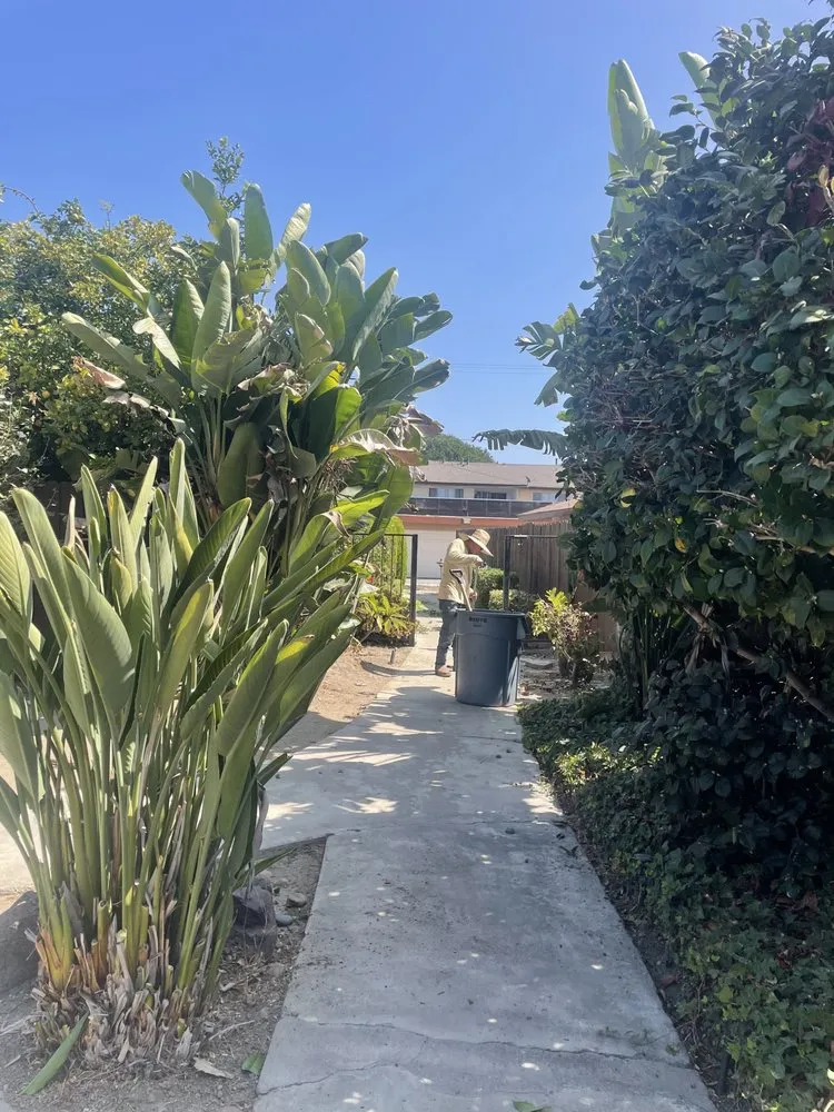 Local residential landscaping in Commerce, CA - Diamond Crest Landscape