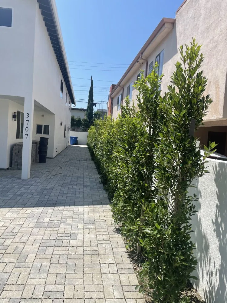 Custom outdoor landscaping for outdoor upgrades in Commerce, CA by Diamond Crest Landscape