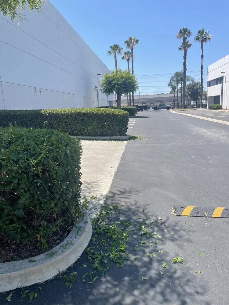 Reliable garden landscaping in Commerce, CA - Diamond Crest Landscape