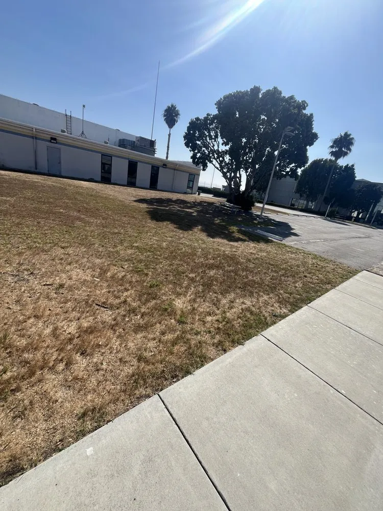 Top-rated outdoor landscaping experts serving Commerce, CA - Diamond Crest Landscape