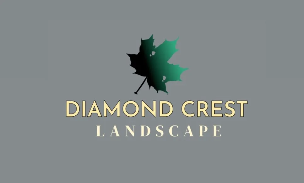 Custom yard cleanup service in Commerce, CA by Diamond Crest Landscape