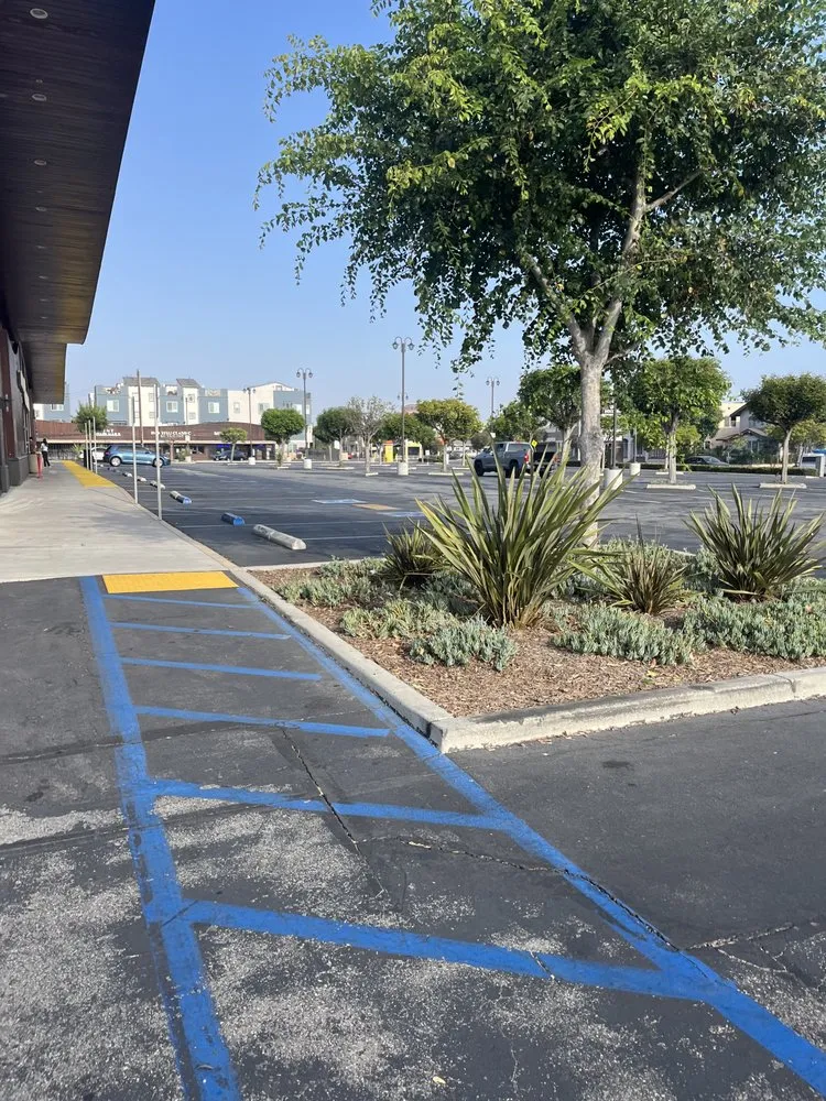 Affordable yard cleanup service for year-round maintenance in Commerce, CA by Diamond Crest Landscape