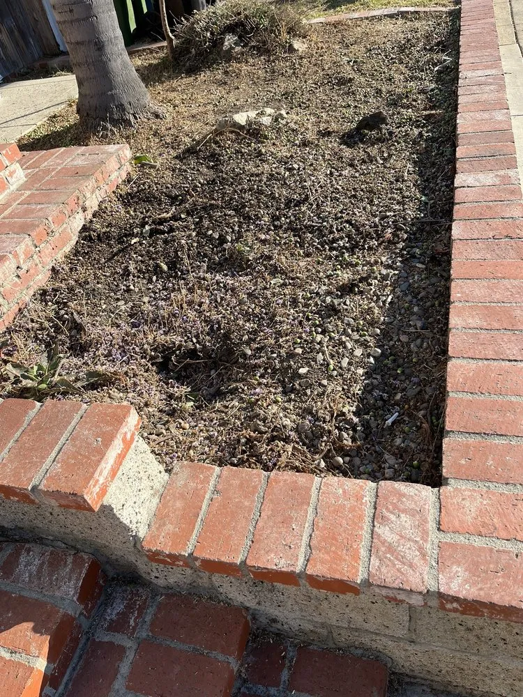 Professional garden landscaping for residential properties in Commerce, CA by Diamond Crest Landscape