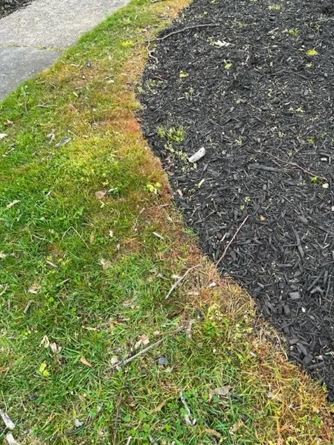 Top-rated lawn mowing service in Kings Park, NY - Diamond Cut Landscaping