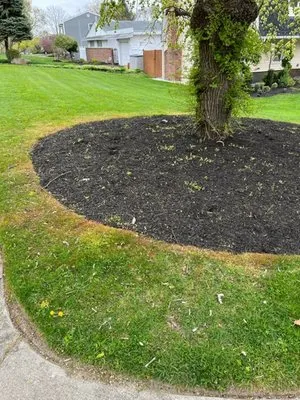 Diamond Cut Landscaping