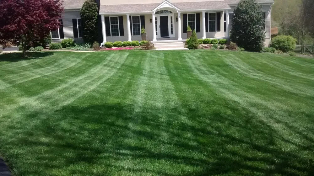 Expert yard cleanup service experts serving Bear, DE - Diamond Cut Landscaping LLC