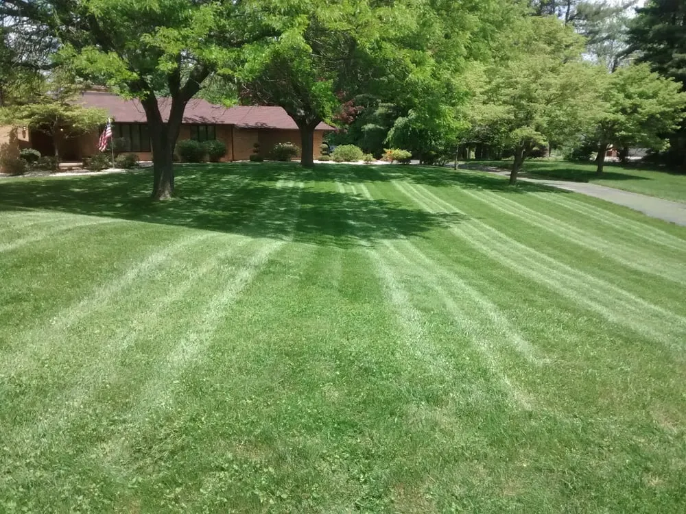Expert yard maintenance in Bear, DE - Diamond Cut Landscaping LLC