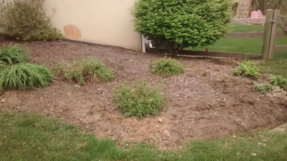 Custom yard cleanup service in Bear, DE - Diamond Cut Landscaping LLC