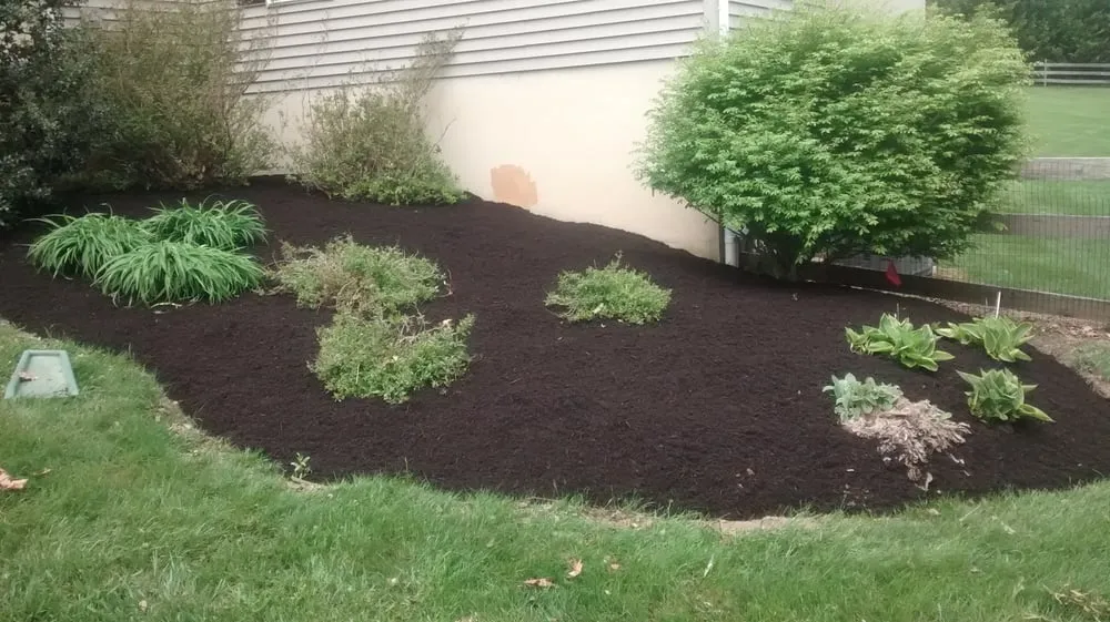 Professional landscaping services for residential properties in Bear, DE by Diamond Cut Landscaping LLC