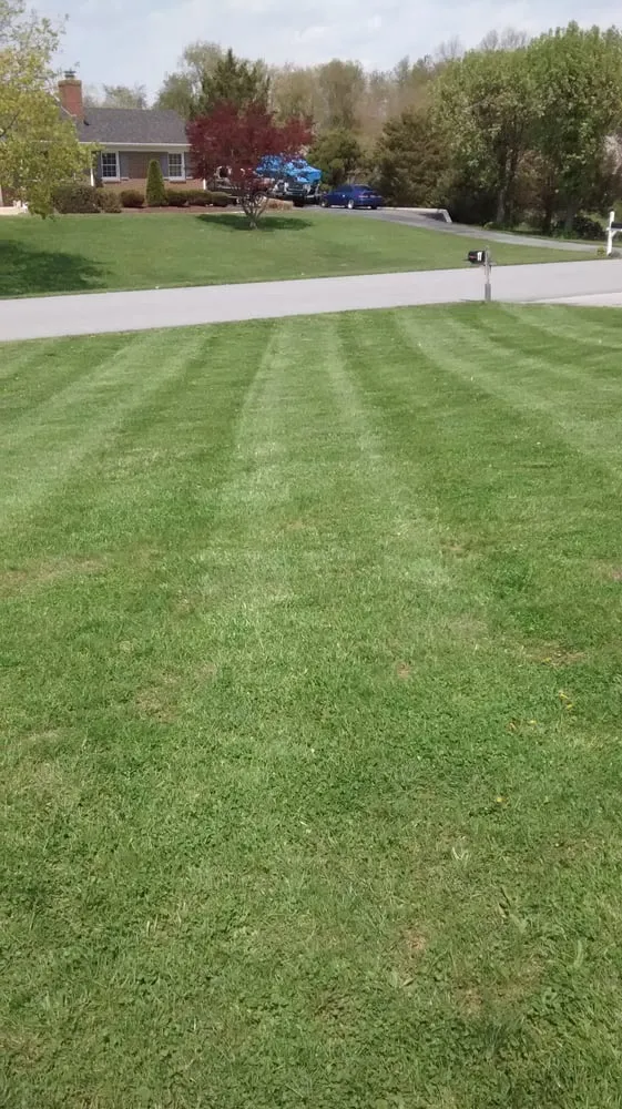 Affordable lawn care service in Bear, DE - Diamond Cut Landscaping LLC