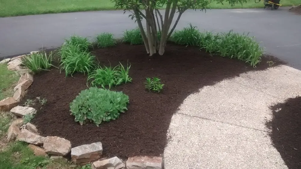 Expert yard maintenance experts serving Bear, DE - Diamond Cut Landscaping LLC