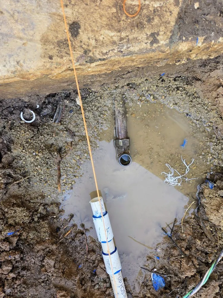 Professional lawn care service for outdoor upgrades across Phoenix, AZ - Diamond Cut Landscaping