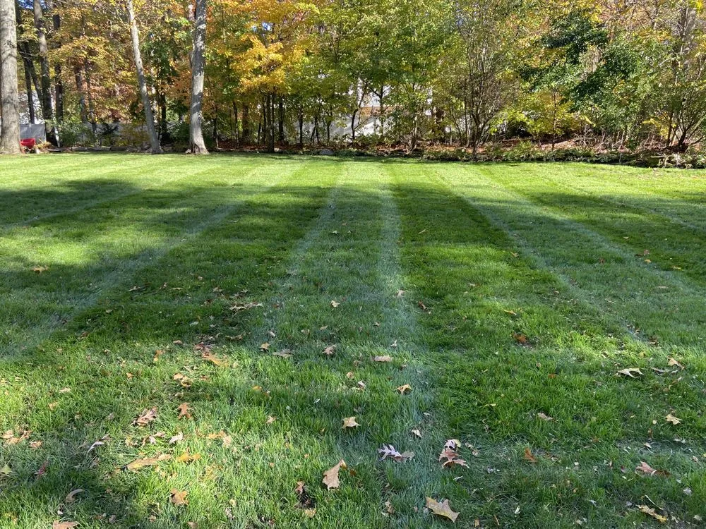 Top-rated landscaping services in Simsbury, CT - Diamond Cut Landscaping