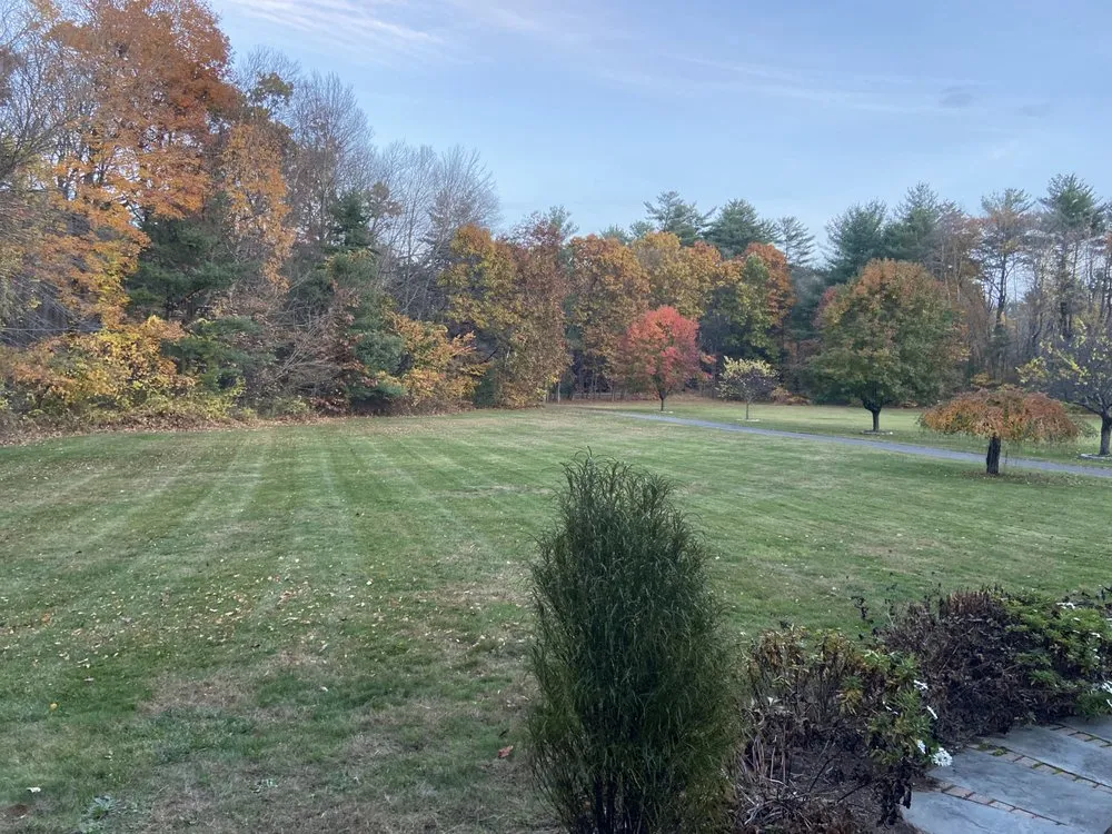 Custom yard cleanup service in Simsbury, CT by Diamond Cut Landscaping