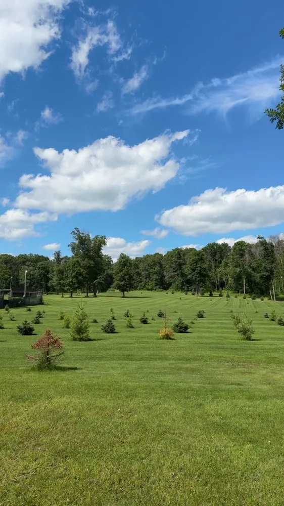 Affordable garden landscaping for homes in Little Falls, MN by Diamond Cut Lawn And Landscape