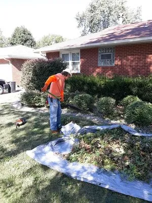 Diamond Cut Lawn Care Logo