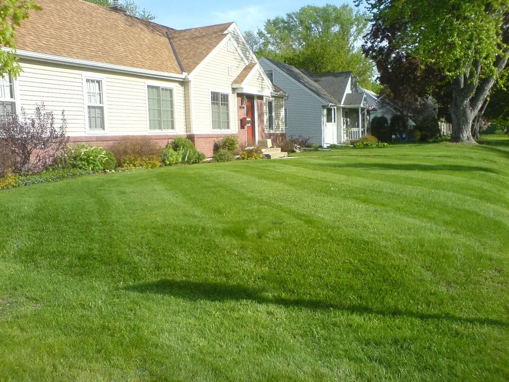 Trusted lawn mowing service in Minneapolis, MN - Diamond Cut Lawn Care