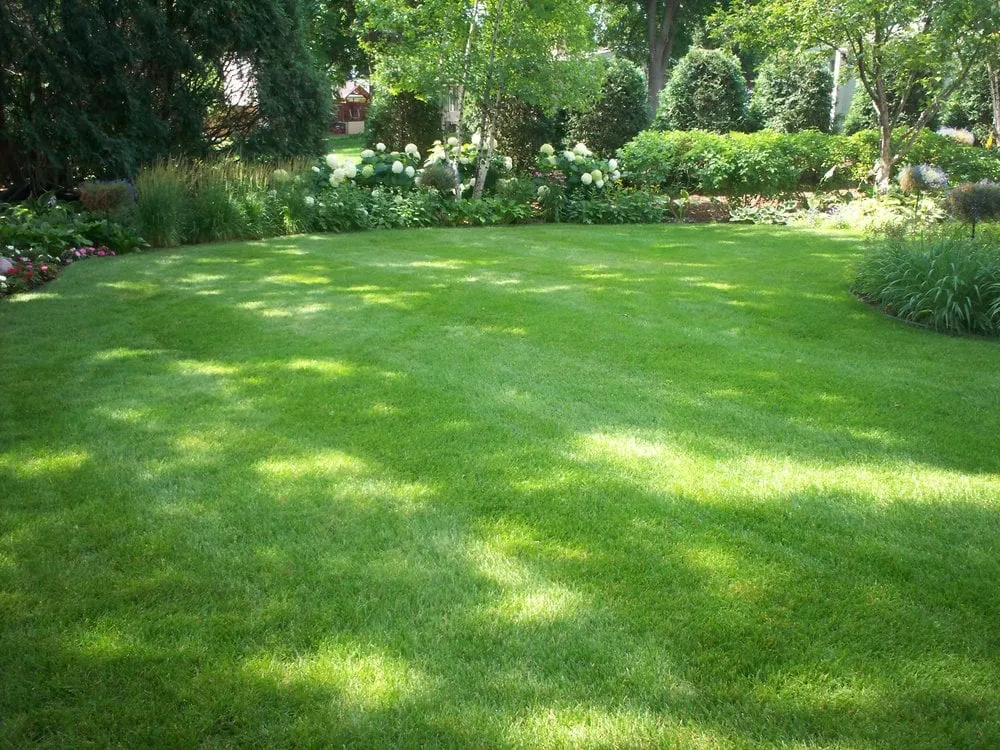 Affordable landscape design in Minneapolis, MN - Diamond Cut Lawn Care
