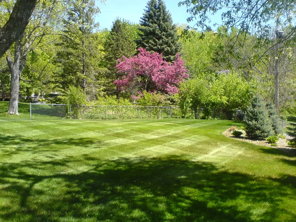 Expert lawn mowing service in Minneapolis, MN - Diamond Cut Lawn Care