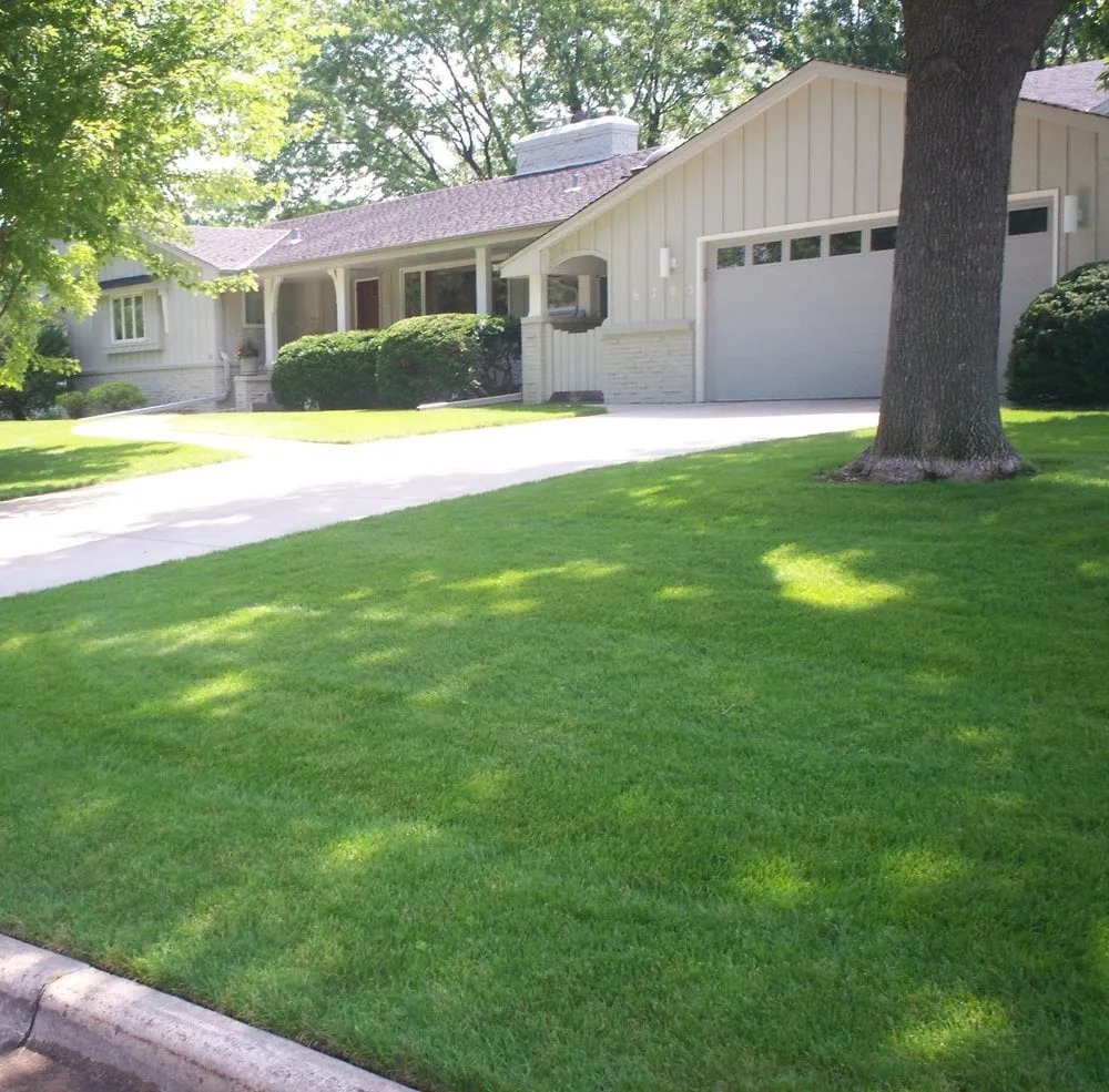 Professional landscape design in Minneapolis, MN - Diamond Cut Lawn Care