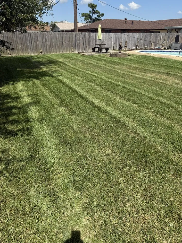 Trusted residential landscaping for year-round maintenance in Marrero, LA by Diamond Cut Lawn Maintenance
