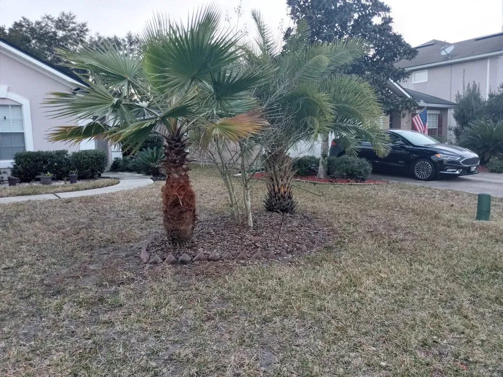 Trusted residential landscaping experts serving Saint Johns, FL - Diamond Cut Lawn Maintenance